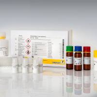 RIDASCREEN® ß-Lactoglobulin (β-乳球蛋白检测试剂盒)