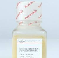 细胞冻存液Ⅰ(人多能干细胞冻存液)
Cell Crypreservation Medium Ⅰ