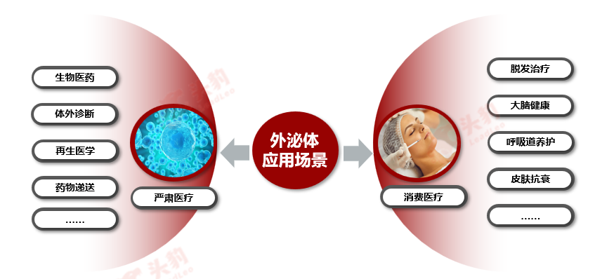 新闻图片2