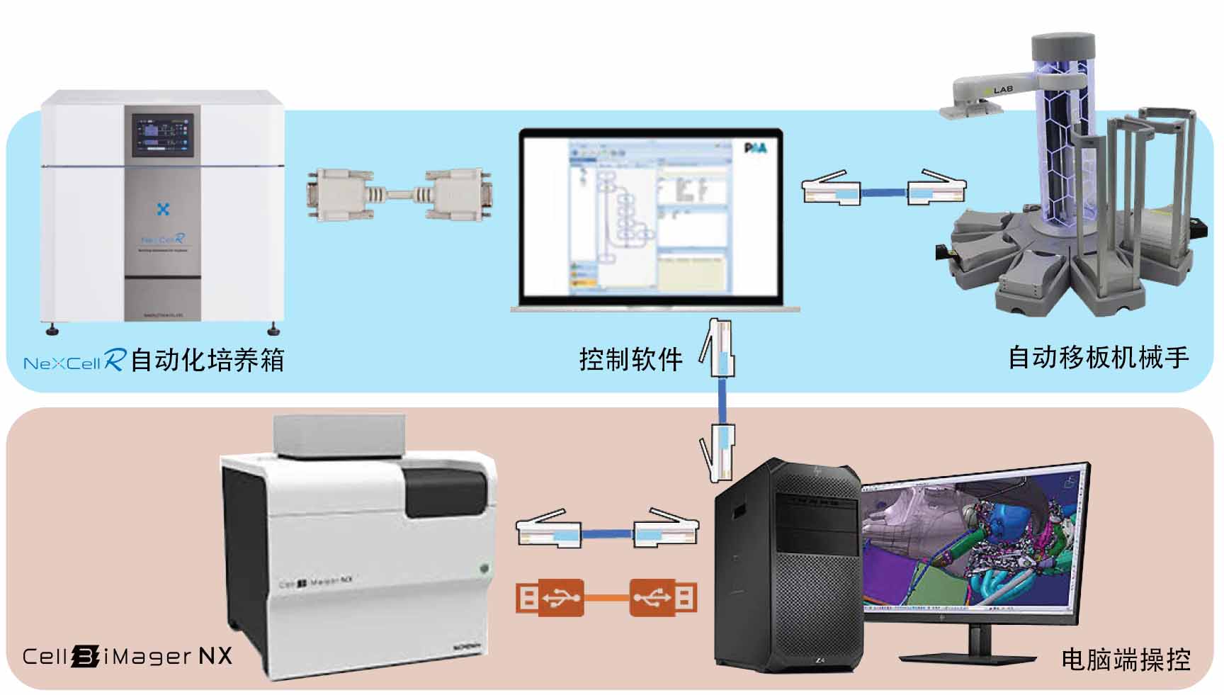 日本Cell3iMager NX高速2D/3D细胞成像扫描仪