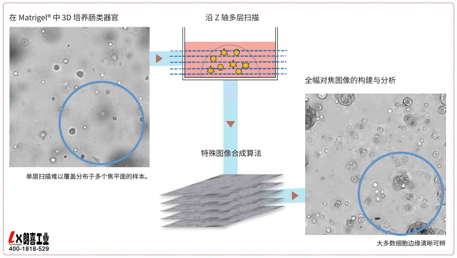 日本Cell3iMager NX高速2D/3D细胞成像扫描仪