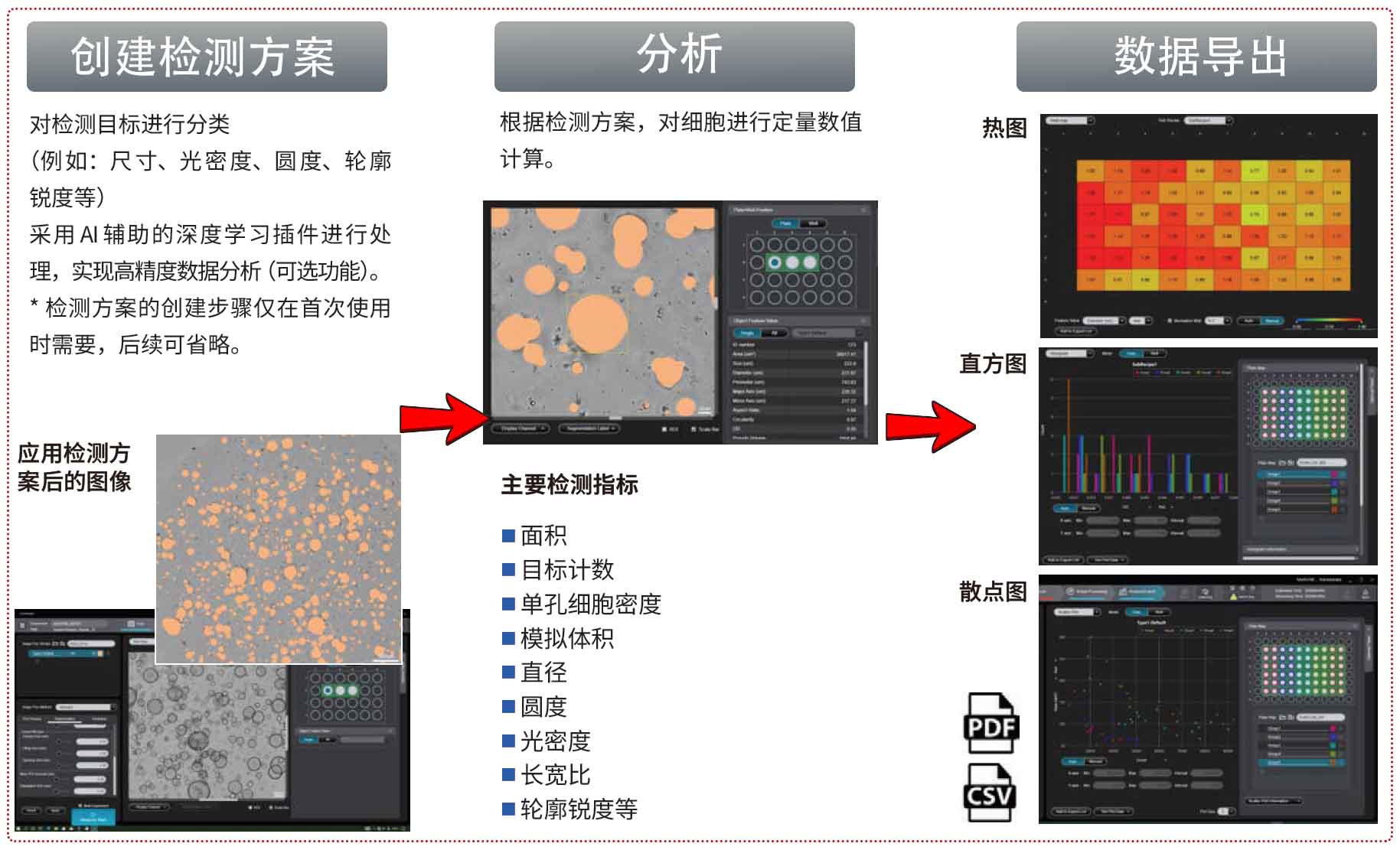 日本Cell3iMager NX高速2D/3D细胞成像扫描仪