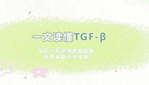 一文读懂 TGF-β：从信号传递到疾病影响，这条通路有多重要？