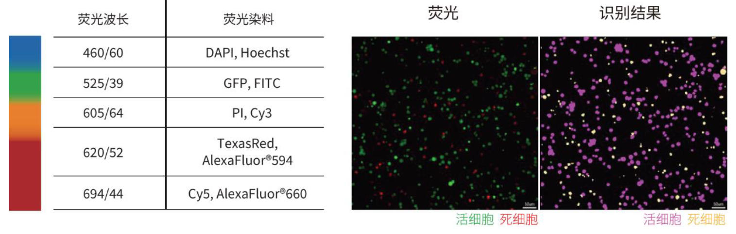 日本Cell3iMager NX高速2D/3D细胞成像扫描仪