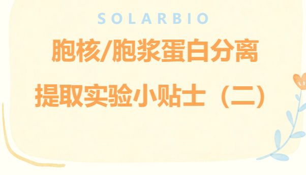 胞核/胞浆蛋白分离提取实验小贴士（二）