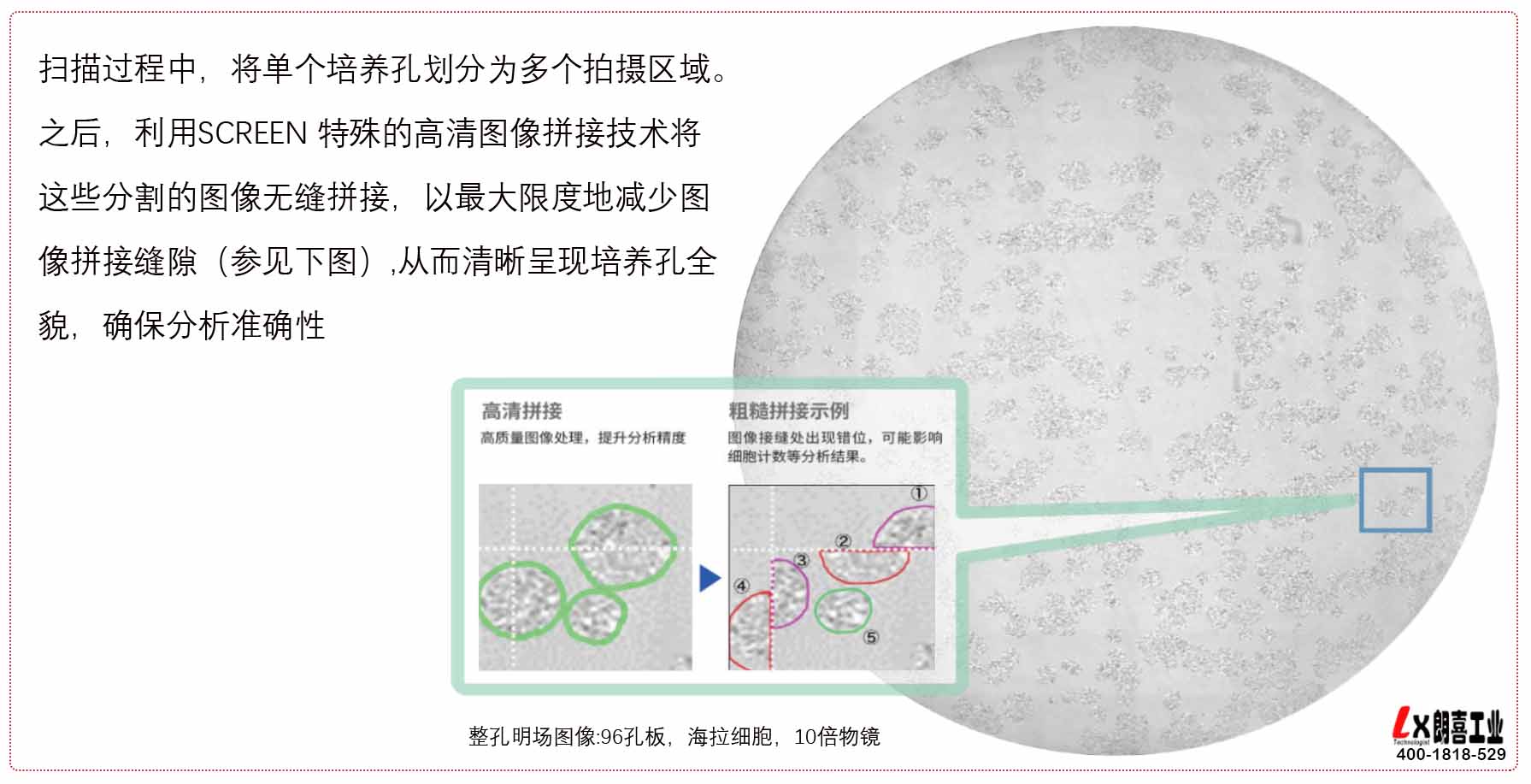 日本Cell3iMager NX高速2D/3D细胞成像扫描仪