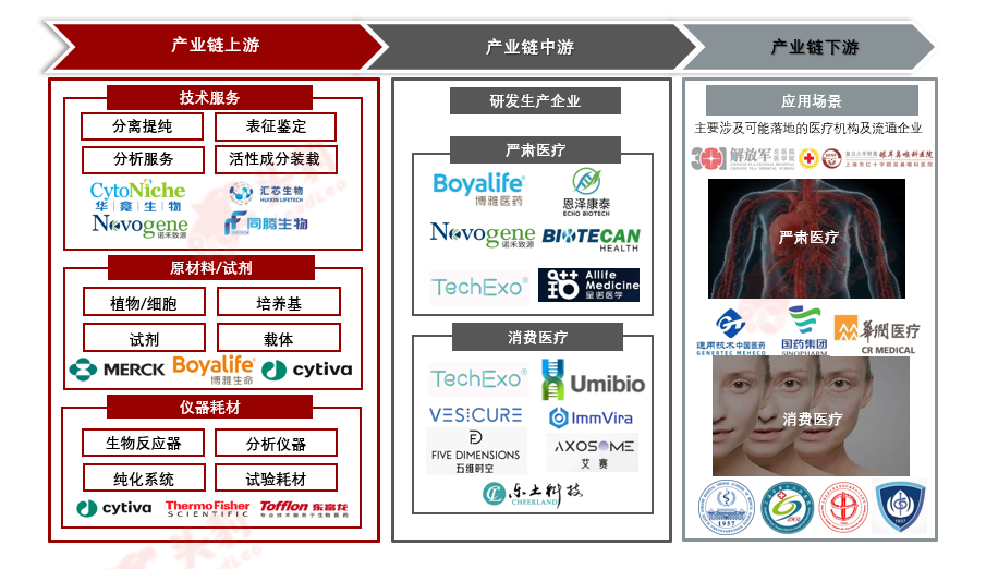 新闻图片3