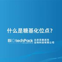 什么是糖基化位点?