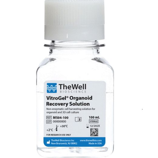 TheWell货号MS04-100类器官专用回收液(VitroGel Organoid Recovery Solution)上海睿安生物TheWell授权代理商19121878899