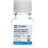 TheWell货号MS04-100类器官专用回收液(VitroGel Organoid Recovery Solution)上海睿安生物TheWell授权代理商19121878899