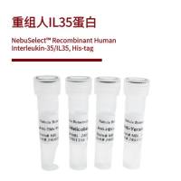 重组人IL35蛋白 | Recombinant Human Interleukin-35/IL35, His-tag