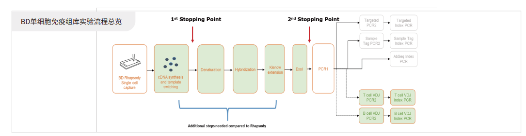 单细胞多组学技术赋能免疫与血液研究