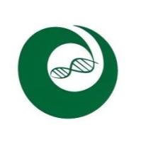 iPSC/ESC 基因敲除