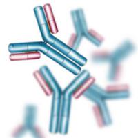 Recombinant OA1 Protein，眼部白化病相关蛋白OA1/蛋白偶联受体143蛋白