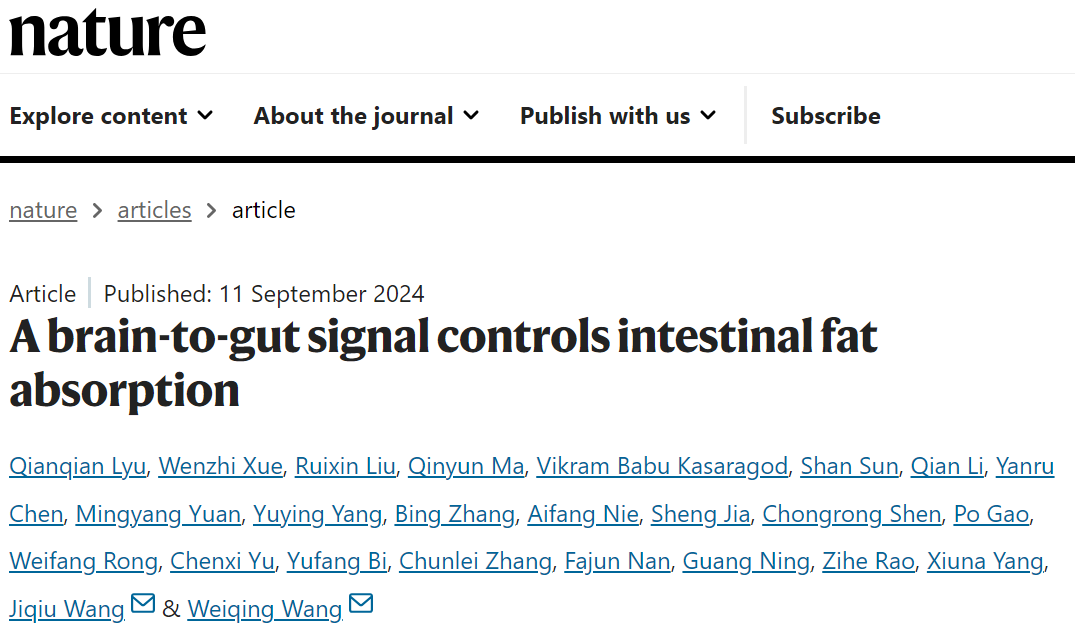 【新手指南】小白速看｜WGA示踪蛋白：神经科学里“追踪连接”的基础工具