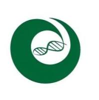 干细胞标志物IF检测