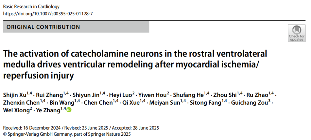 【新手指南】小白速看｜WGA示踪蛋白：神经科学里“追踪连接”的基础工具