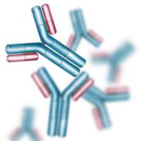 Recombinant SCGN Protein,钙结合样蛋白/神经内分泌肿瘤标记物蛋白