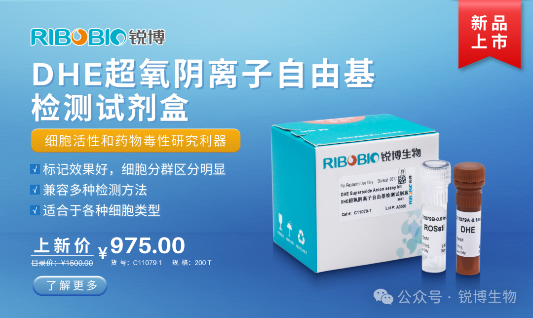 新品上市丨DHE超氧阴离子自由基检测试剂盒