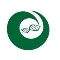 hPSC诱导分化子宫内膜类器官