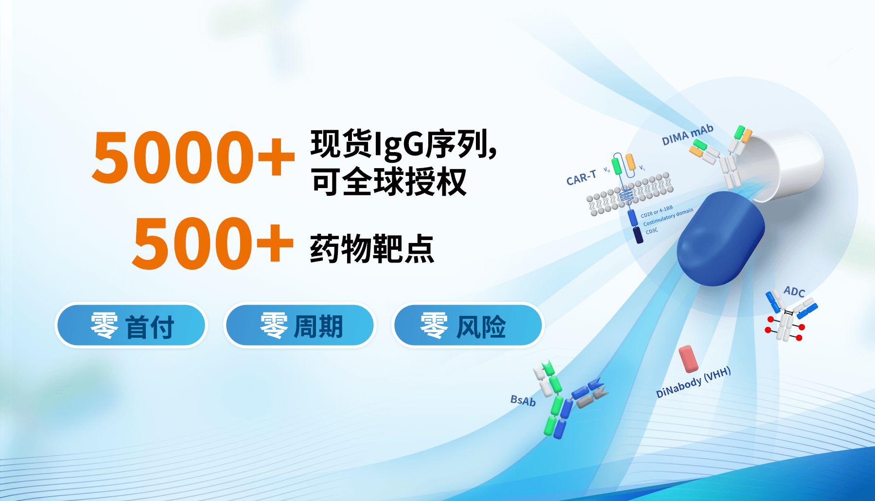 抗体序列转让与授权：让管线从Months到Days的真正“加速器”