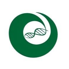 shRNA慢病毒载体构建