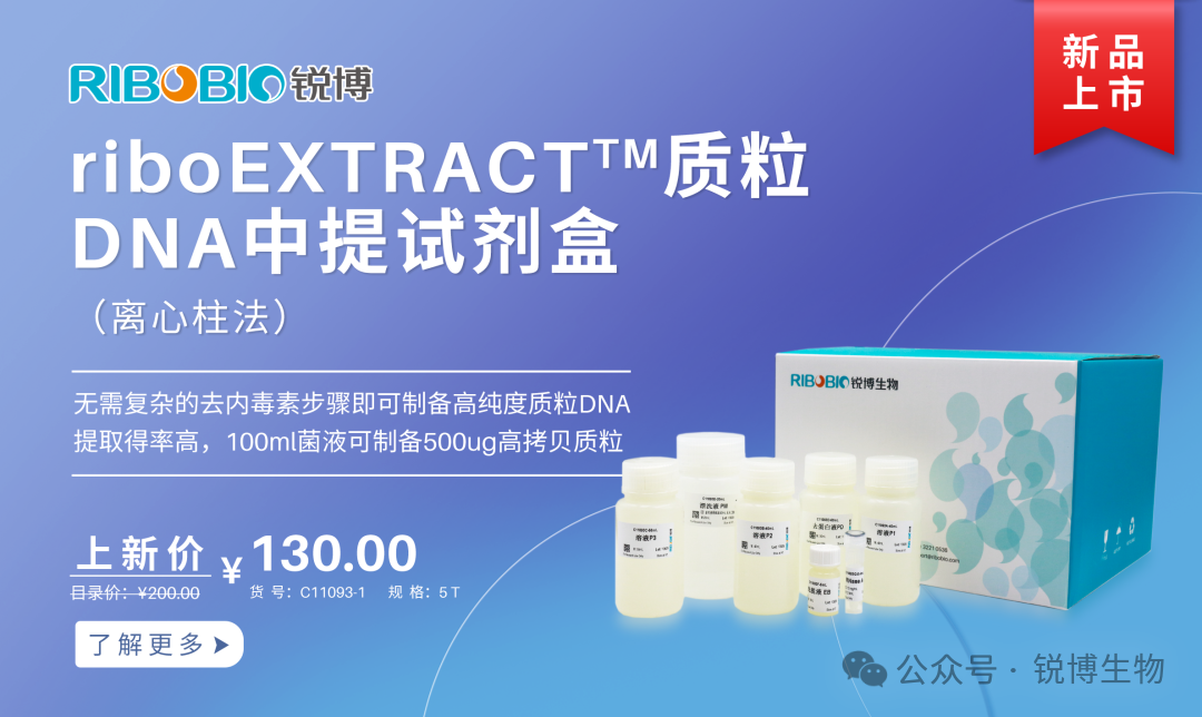新品上市丨riboEXTRACT质粒DNA中提试剂盒（离心柱法）