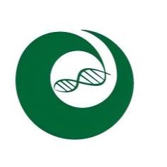 hPSC诱导分化肝类器官