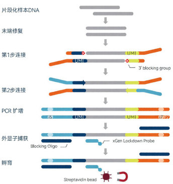 技术资料图片2