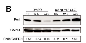 每月研报：盘点普健生物2025年11月文献锦集