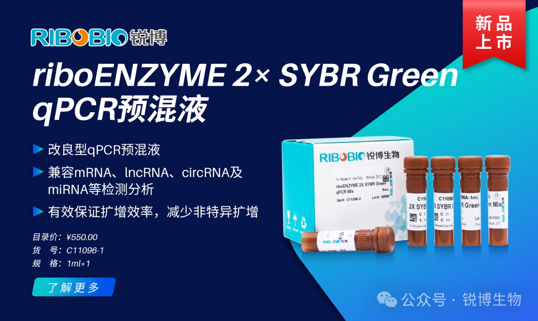 新品上市丨riboENZYME 2× SYBR Green qPCR预混液