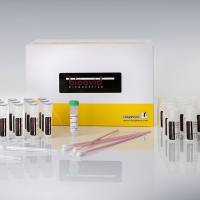 bioavid Lateral Flow Brazil Nut incl. Hook Line (横向流动法巴西坚果检测试纸条)