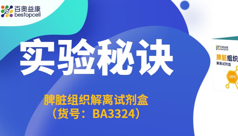 实验秘诀 | 百奥益康脾脏解离试剂盒（BA3324）解锁免疫细胞研究新体验