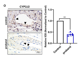 每月研报：盘点普健生物2025年11月文献锦集