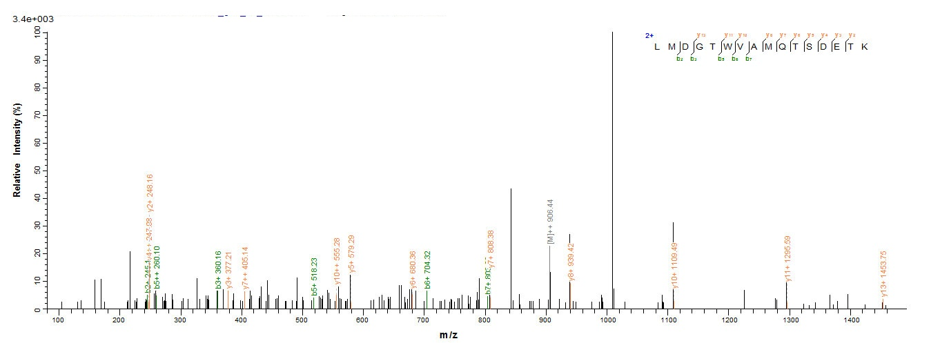 Rabies virus Glycoprotein蛋白，or
