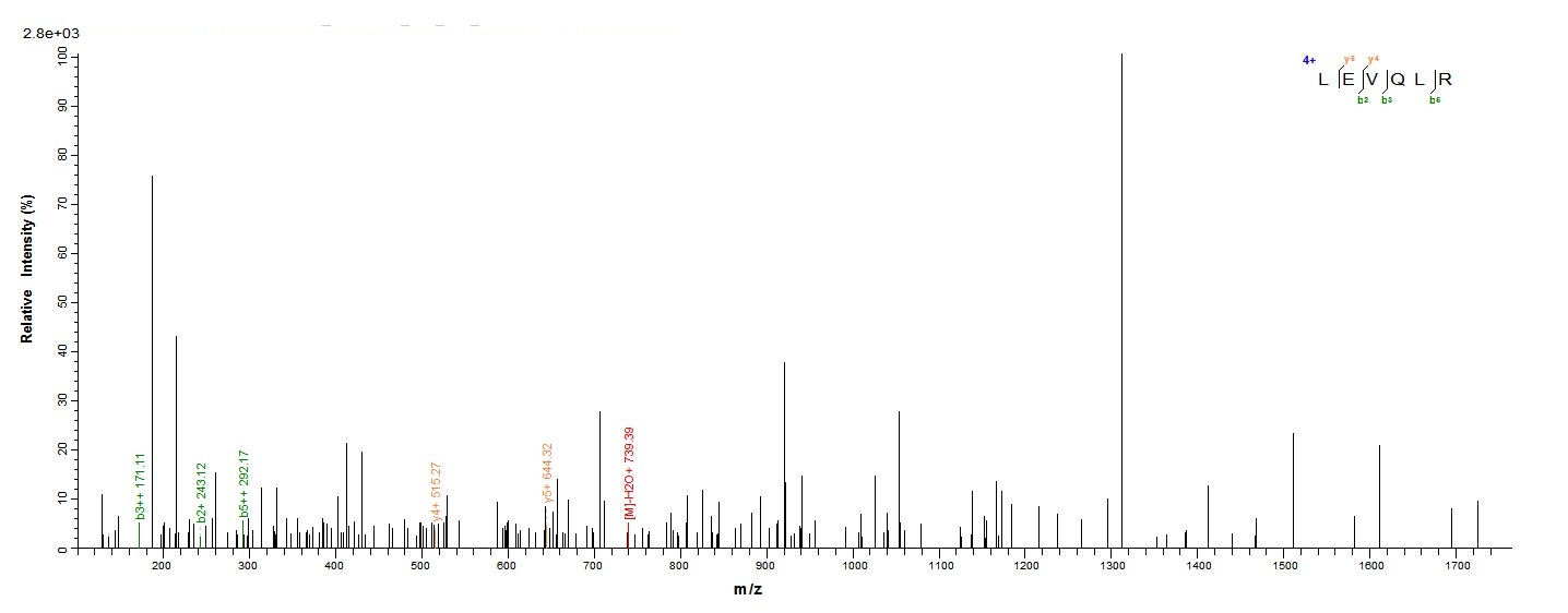 Human C19orf80 Protein蛋白，orb24