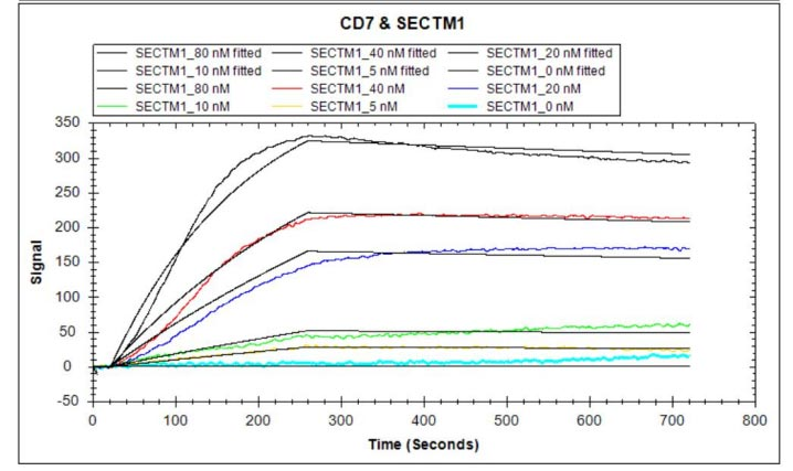 重组蛋白 Human T-cell antigen CD7