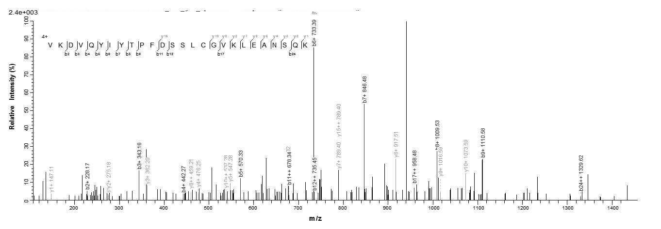 Human TIMP-4 Protein蛋白，orb2453