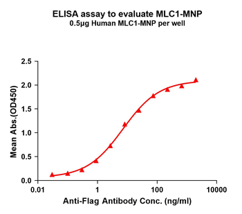 Human MLC1 full length Protein