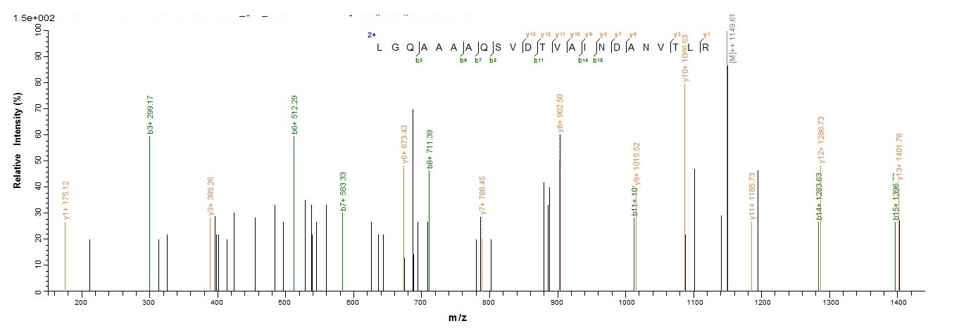 E. coli F17a-A Protein蛋白，orb35