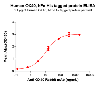 Human FLT3 Ligand Protein蛋白, m