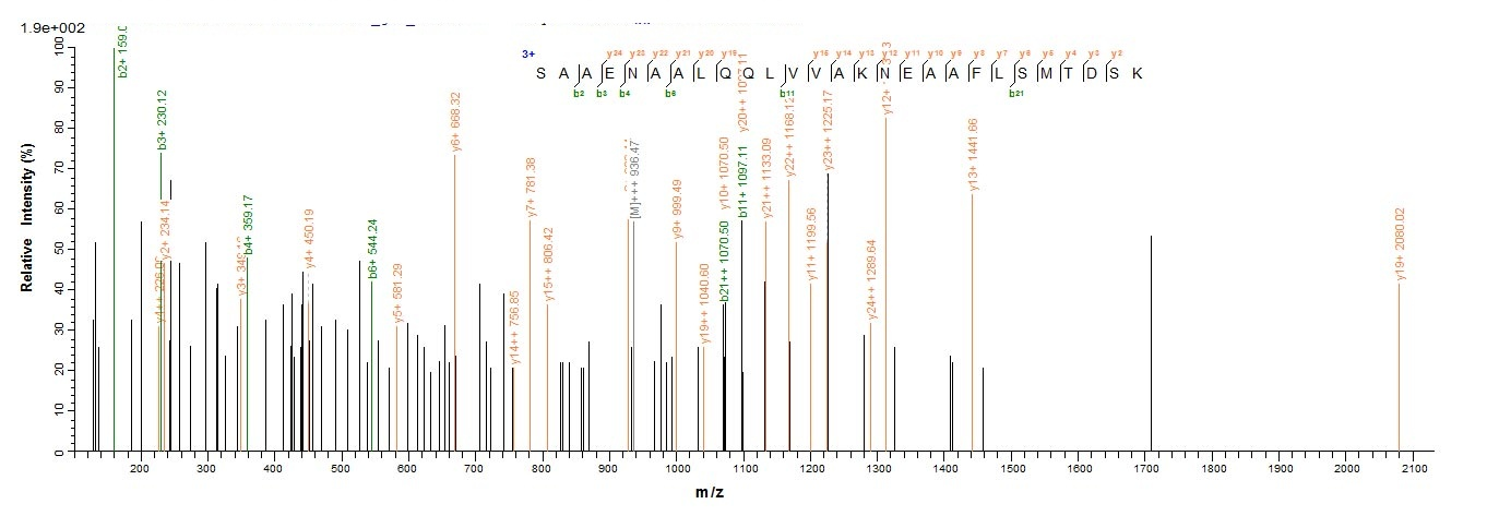 Human SFTPD Protein蛋白，orb35851