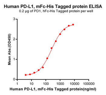 Human B7-2 Protein蛋白, mFc-His 