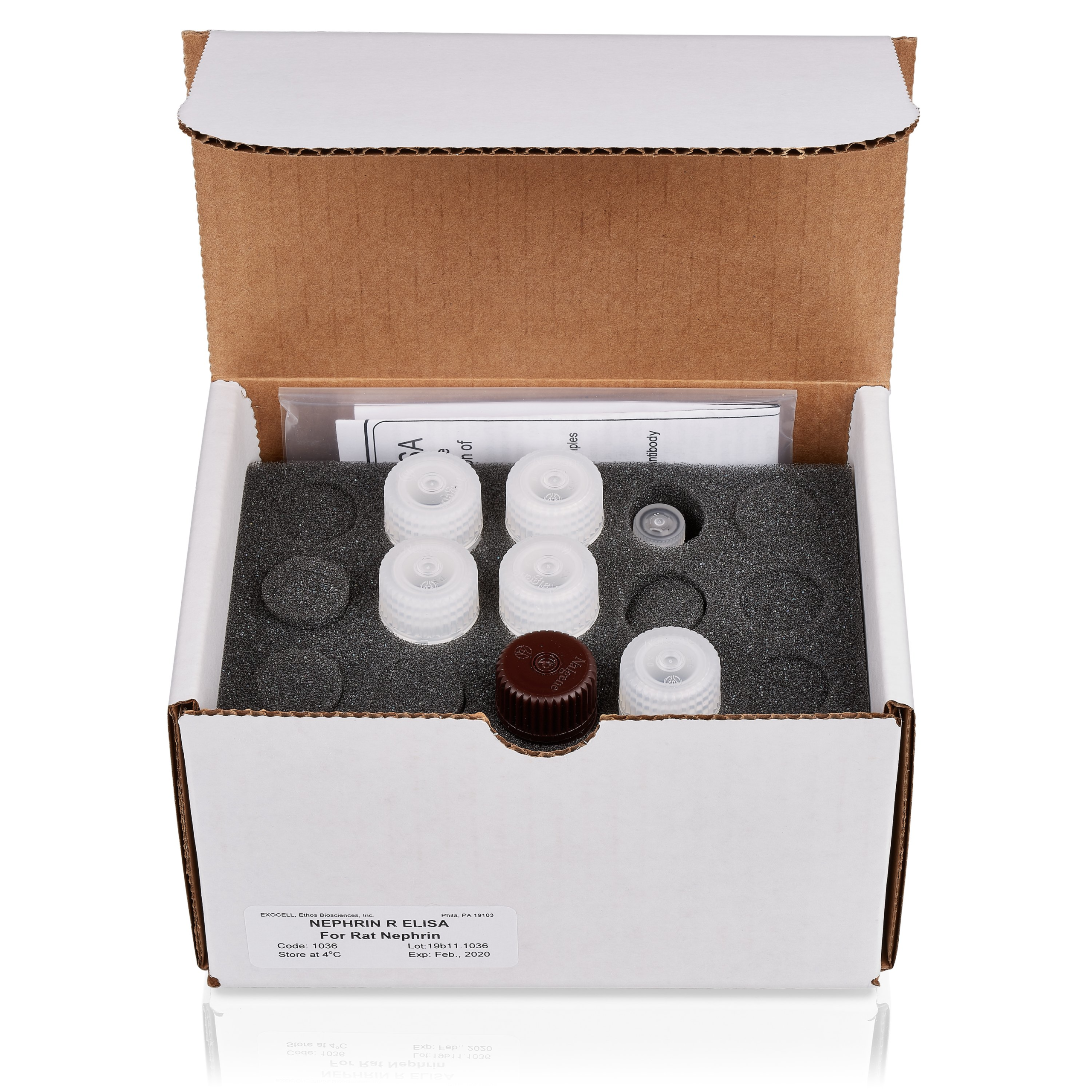 大鼠Nephrin ELISA检测试剂盒包装