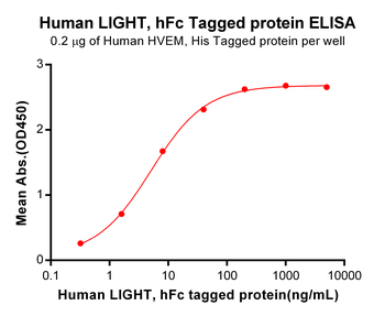 Human GPR75 Protein蛋白, hFc Tag