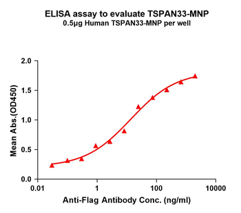 Human TSPAN33 full length Prot