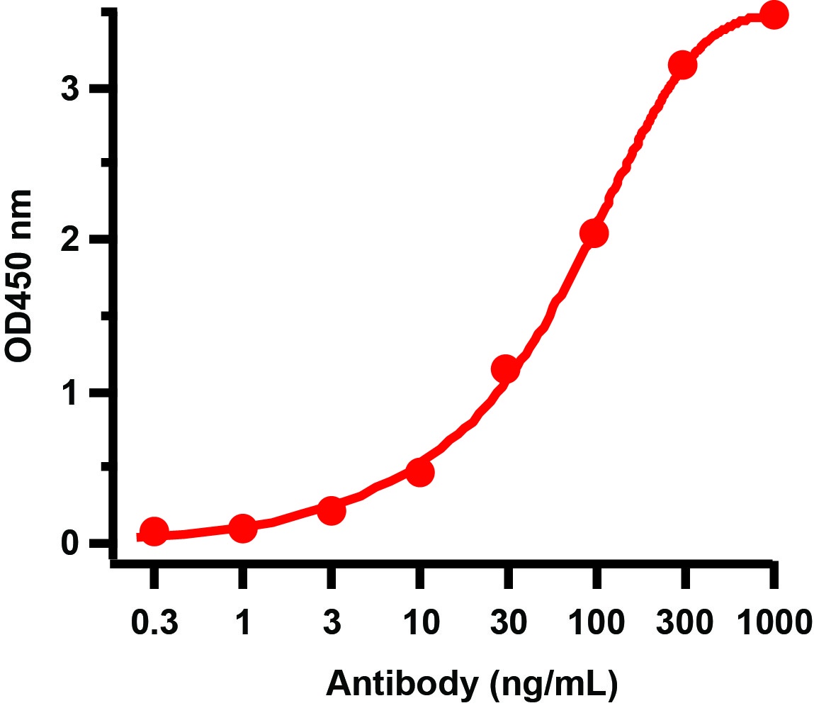 HIV-1 p24 重组蛋白，orb1671194，bior