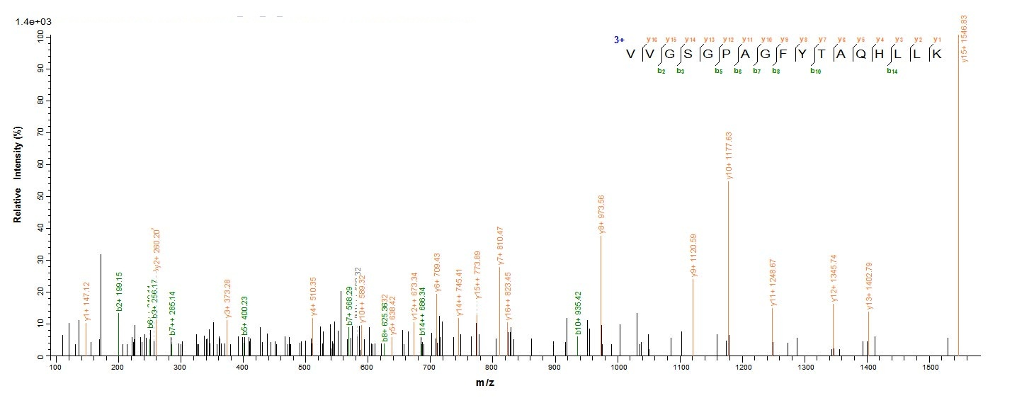 Human FDXR Protein蛋白，orb358091