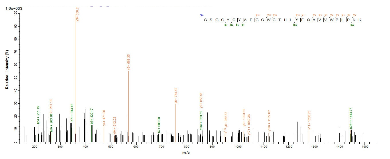 Insect Css4 Protein蛋白，orb35816