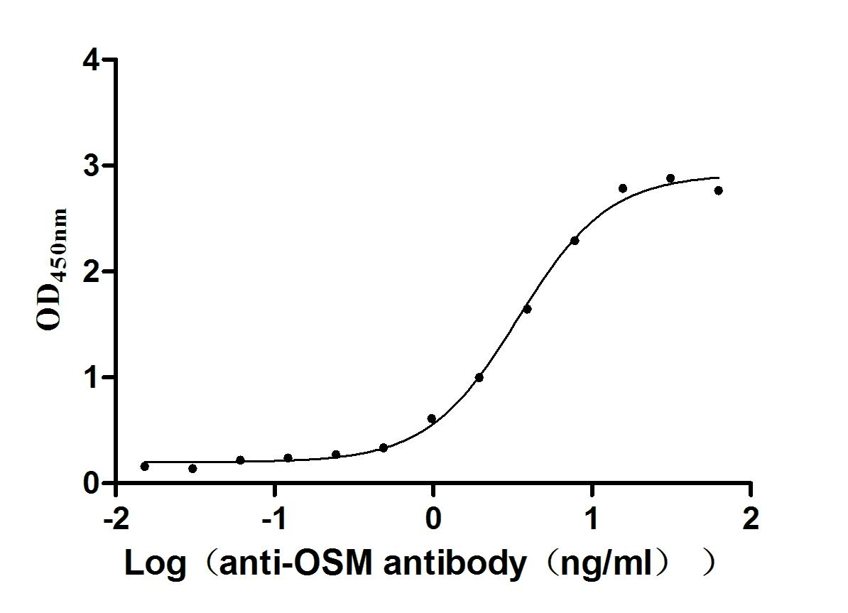 重组蛋白 Human Oncostatin-M (OSM),